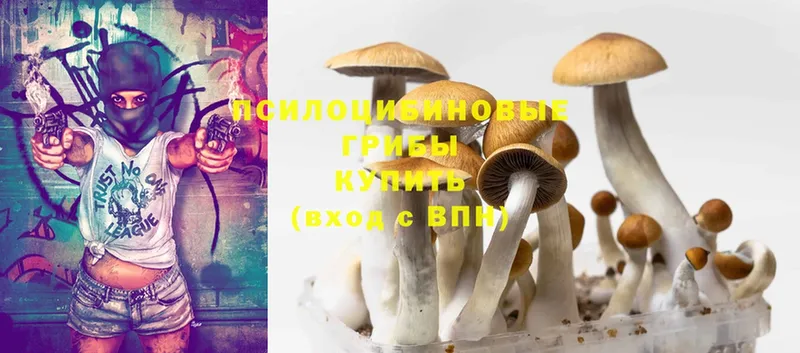 Псилоцибиновые грибы Magic Shrooms  где продают   Усть-Лабинск 